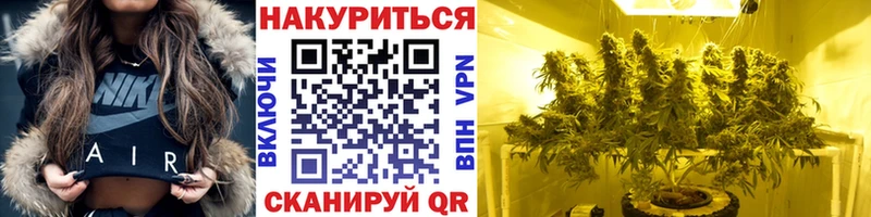 Конопля тримм  ссылка на мегу вход  мориарти наркотические препараты  где можно купить   Могоча 